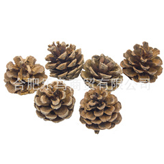 Chew toy bird cage accessories Pinecone ZAKKA photo prop Photography prop photo background Natural pinecone