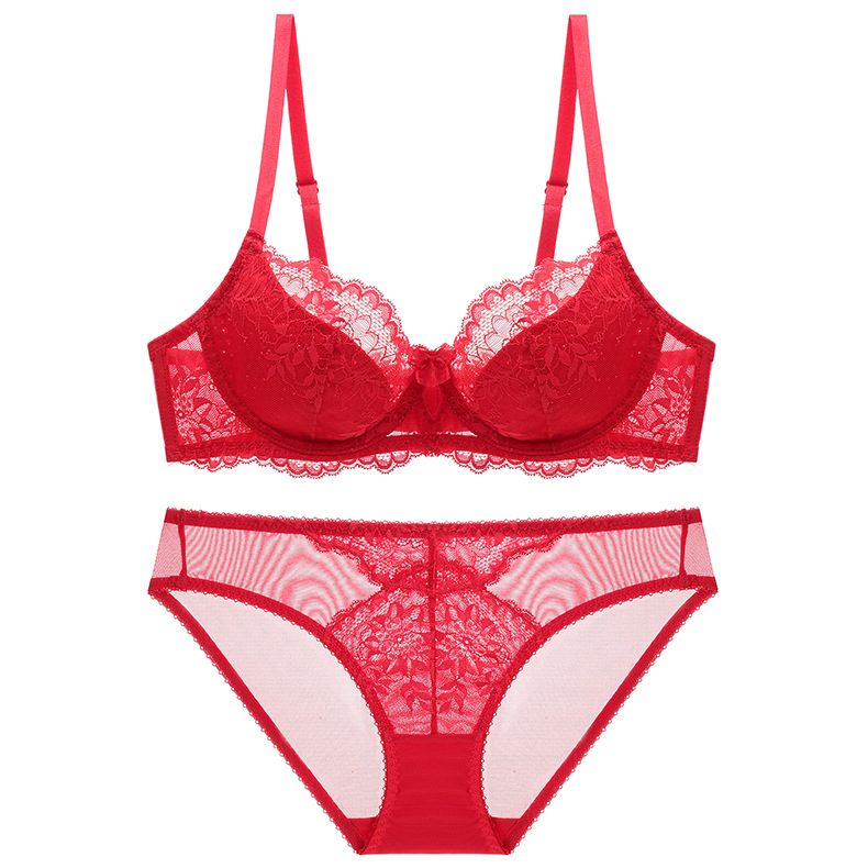 Sexy Lace Bra And Brief Set For Women With Large Chest Support_voghion.com