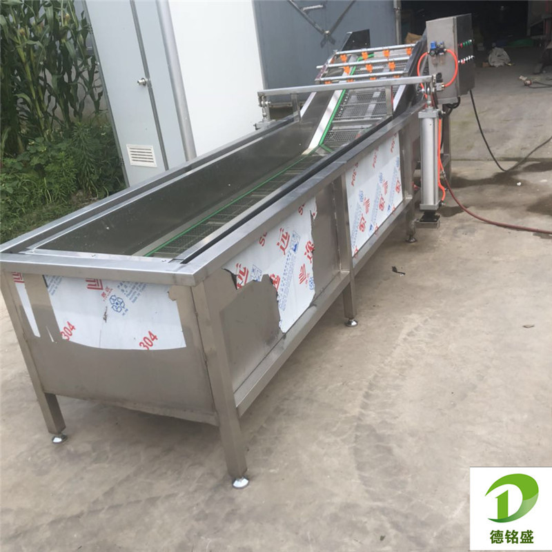 去农药残留果蔬清洗机 蔬菜无损 德铭盛叶类气泡清洗机