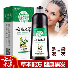漢豐雲南本草一支黑染髮劑  植物泡泡染一洗自然黑清水黑髮染髮膏