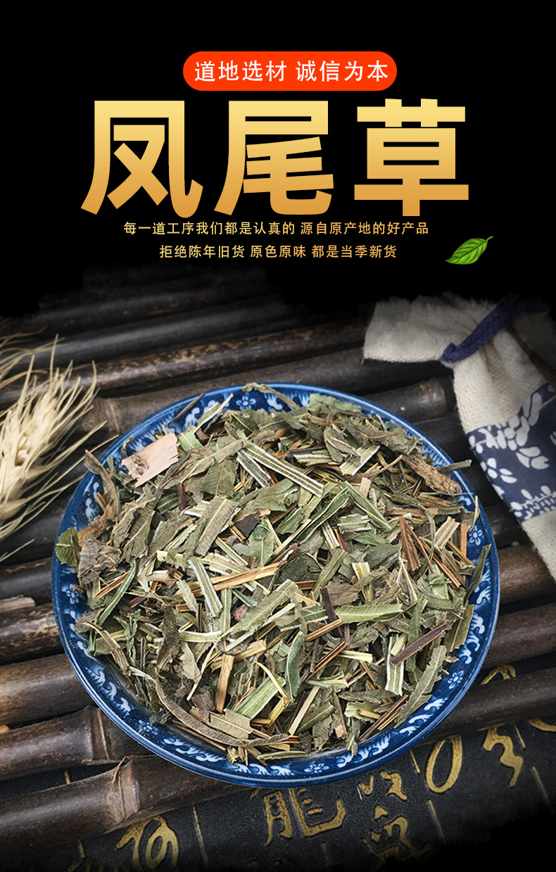 Dried Feng Wei Cao 凤尾草 Whole Herb Pteris Multifida Traditional Herbal Tea Material from Yunnan key features