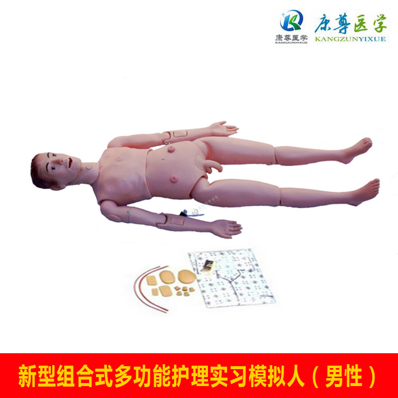供应组合式多功能护理人模型男训练教学仪器人体仿真仿真训练模型