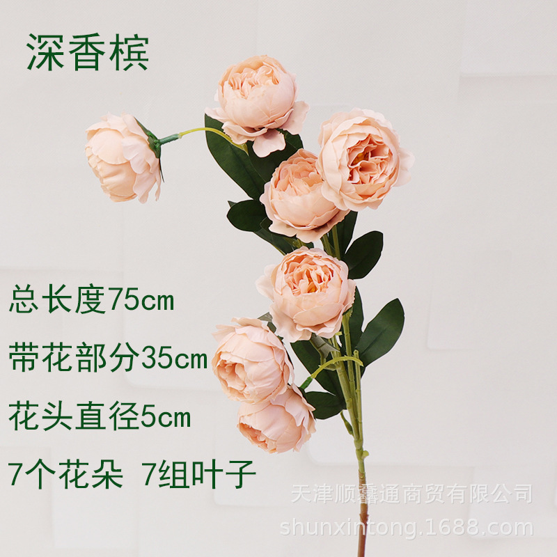 7头玲珑牡丹深香槟2.jpg