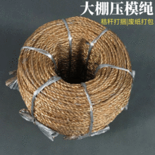 2/4/6/8mm電化鋁黃金繩打包捆扎繩大棚壓膜繩吊秧繩廢紙打捆繩