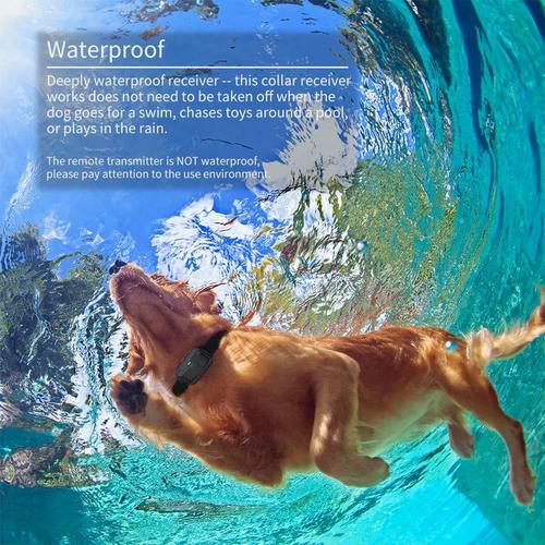 Pet Supplies Electronic Collar Waterproof 500m Remote Shock Vibration Warning Manufacturer's Private Model Dog Barking Control Device