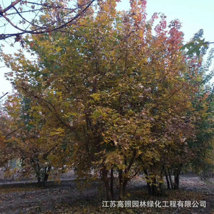 ���ع���Ԫ���� �����^�p���� �L���� ���΃���