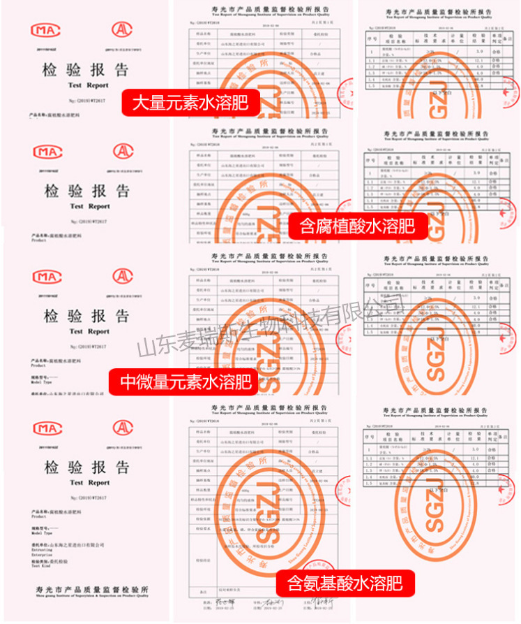 檢驗報告第一張