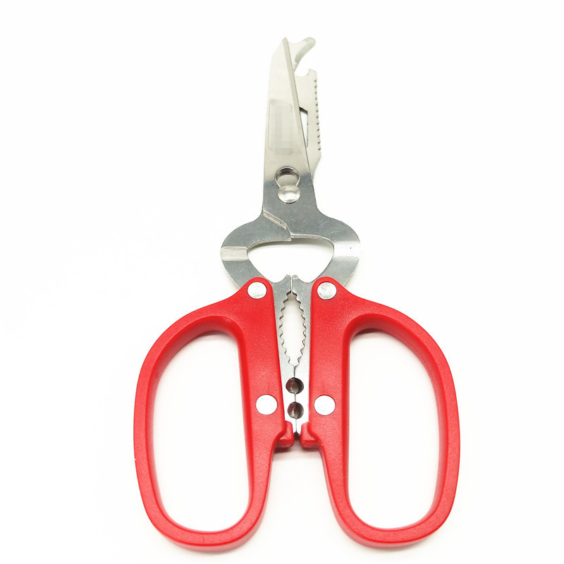 IMG20191119154142_副本_副本