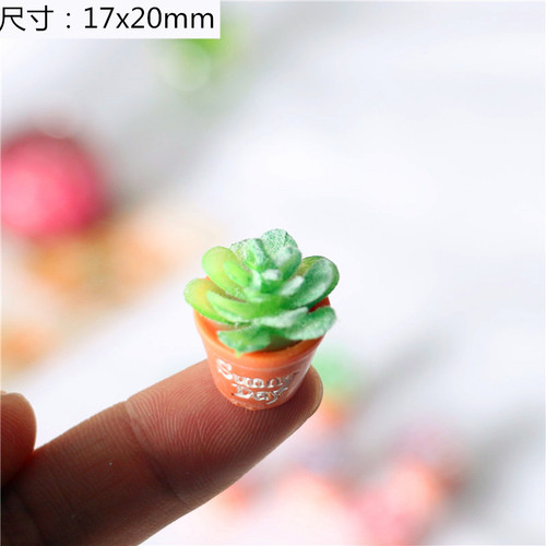 Dollhouse Accessories, Miniature Models, Micro Landscape Decorations, Miniature Succulent Plant Pots