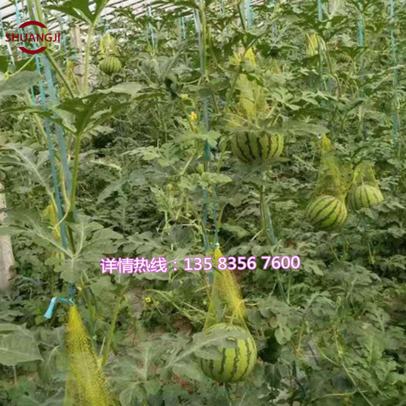 水果网袋机 蔬菜网袋生产线 水产网眼袋机器 13583567600