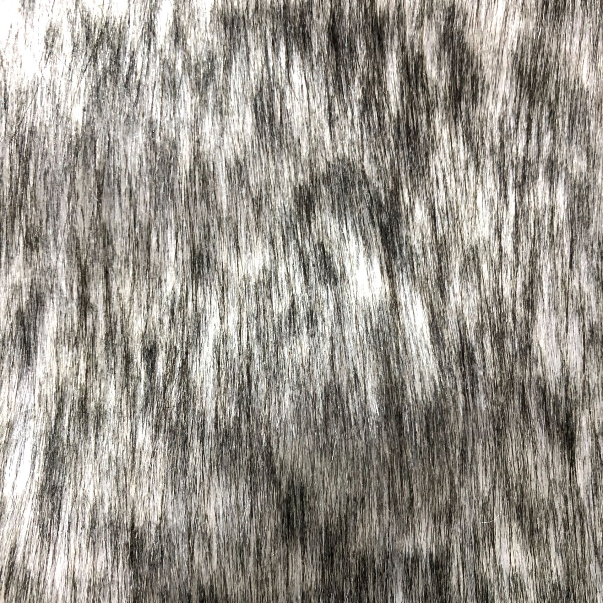 e81024ac88499f4ea6a15be72ca474