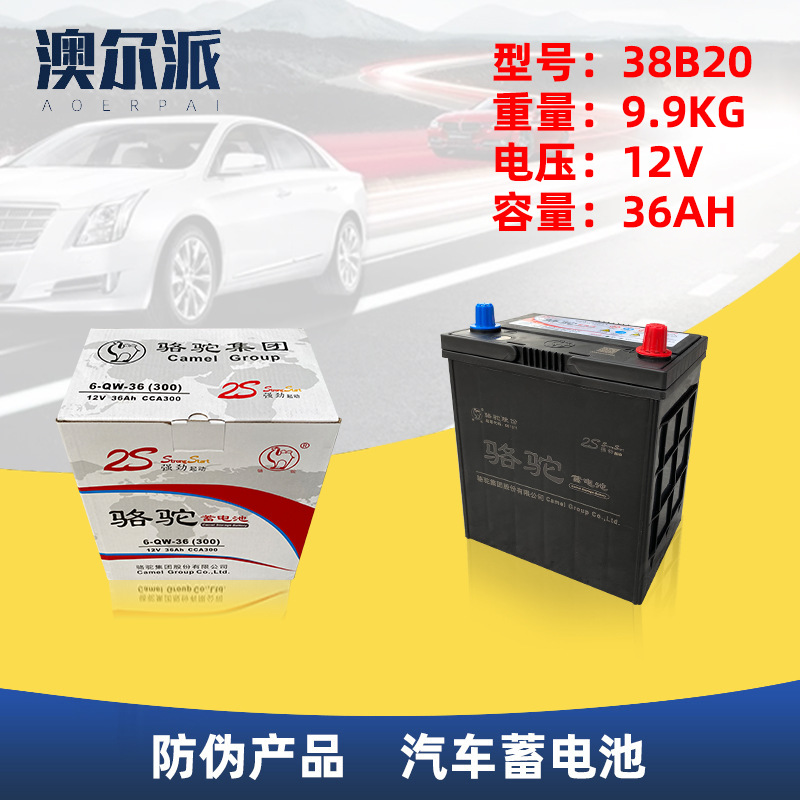 批发骆驼6-QW-36飞度锋范北斗星本田汽车蓄电池12V36AH汽车电瓶|ms