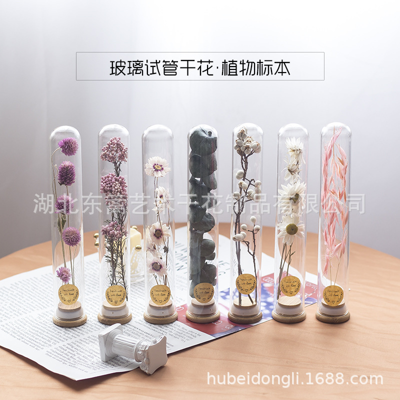 玻璃试管真花干花满天星生日礼物家居卧室摆件教师节礼物试管花