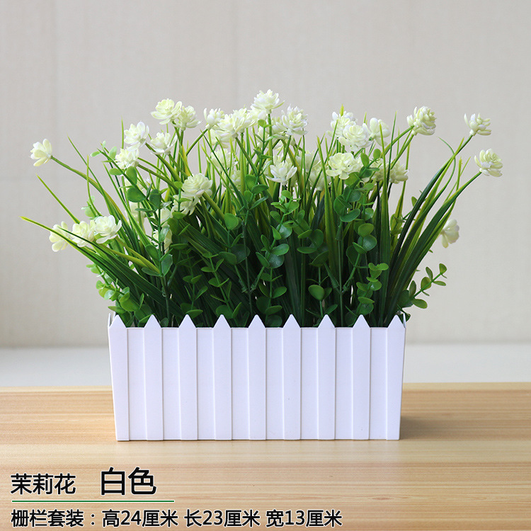 울타리 재스민 화이트]