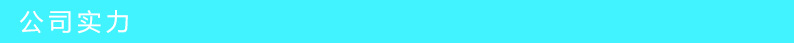 公司实力