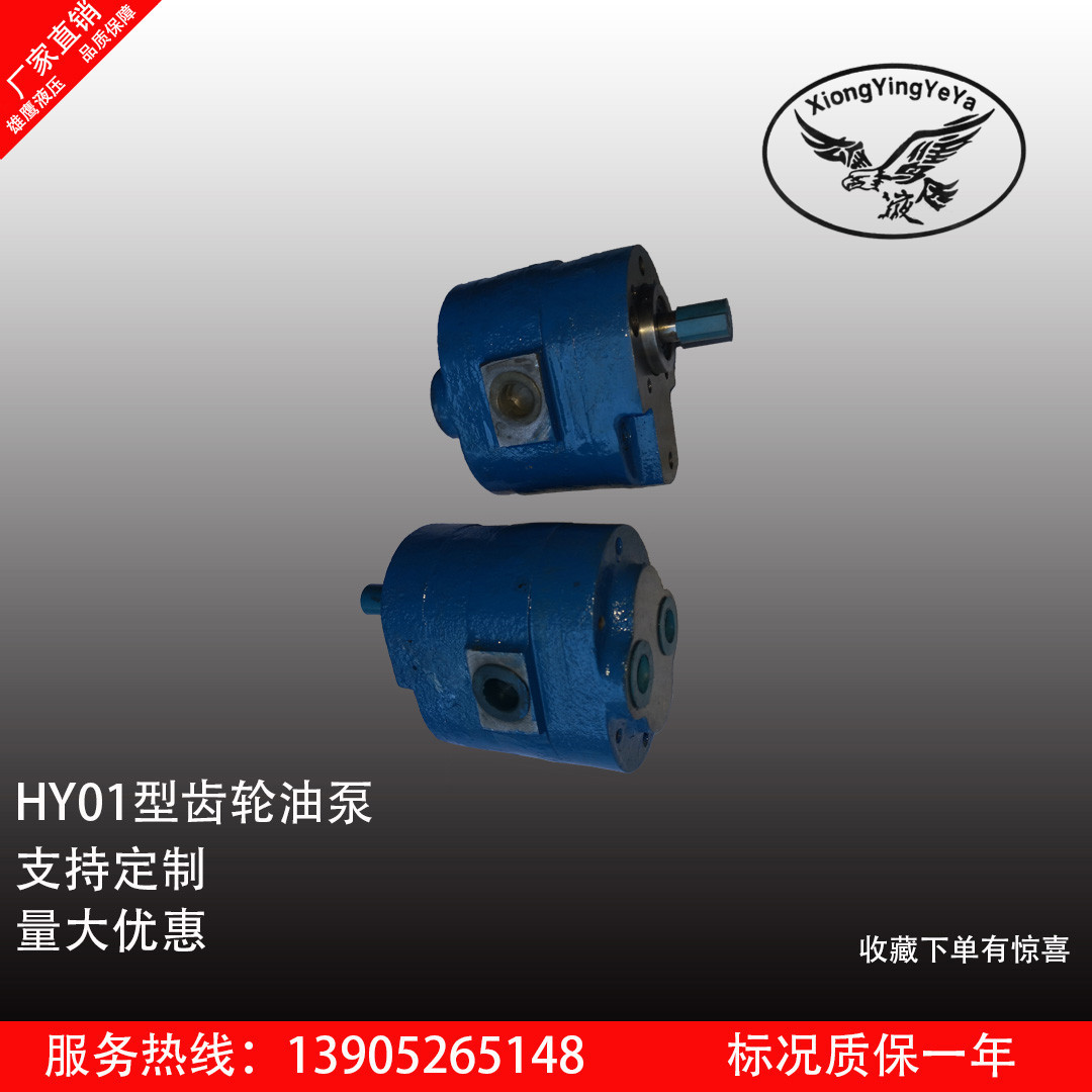HY01-100×25齿轮油泵 润滑系统双向润滑油泵 泰兴液压件厂输油泵