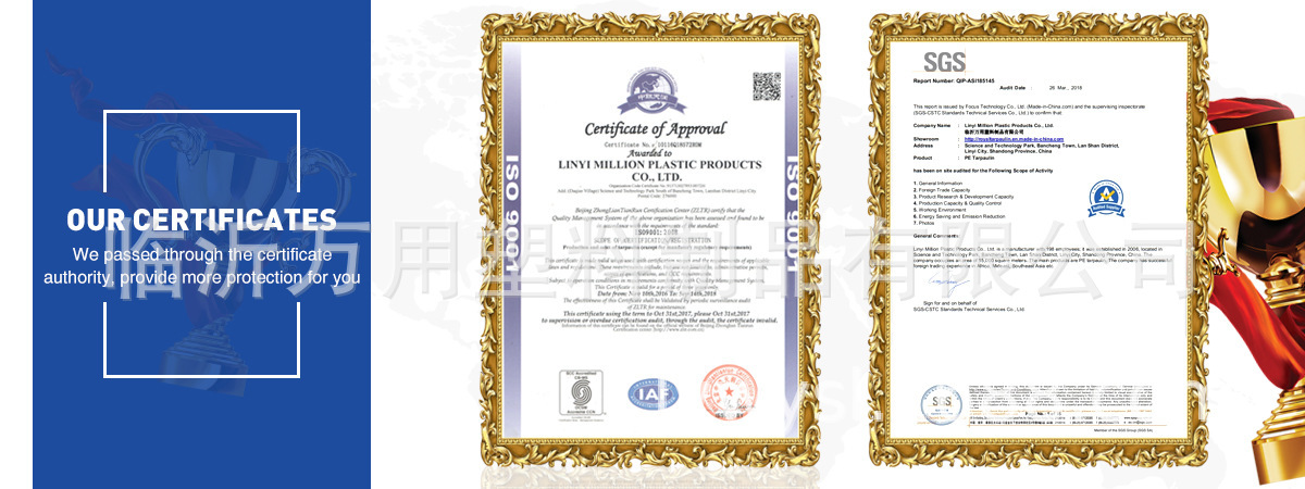 9014395129_1087607864