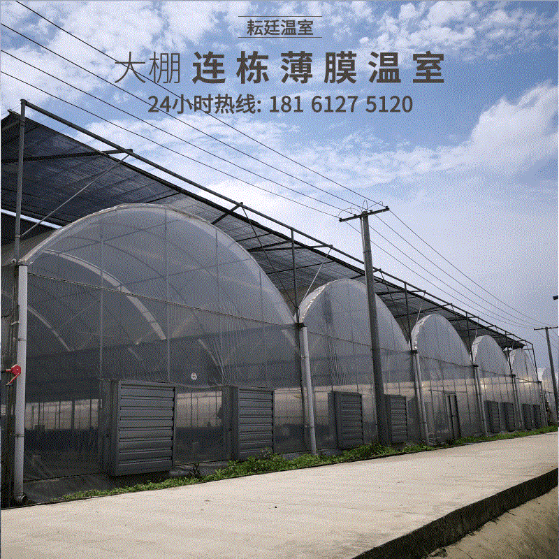 四川厂家直销蔬菜大棚养殖单体棚连栋温室花房温室大棚花卉大棚