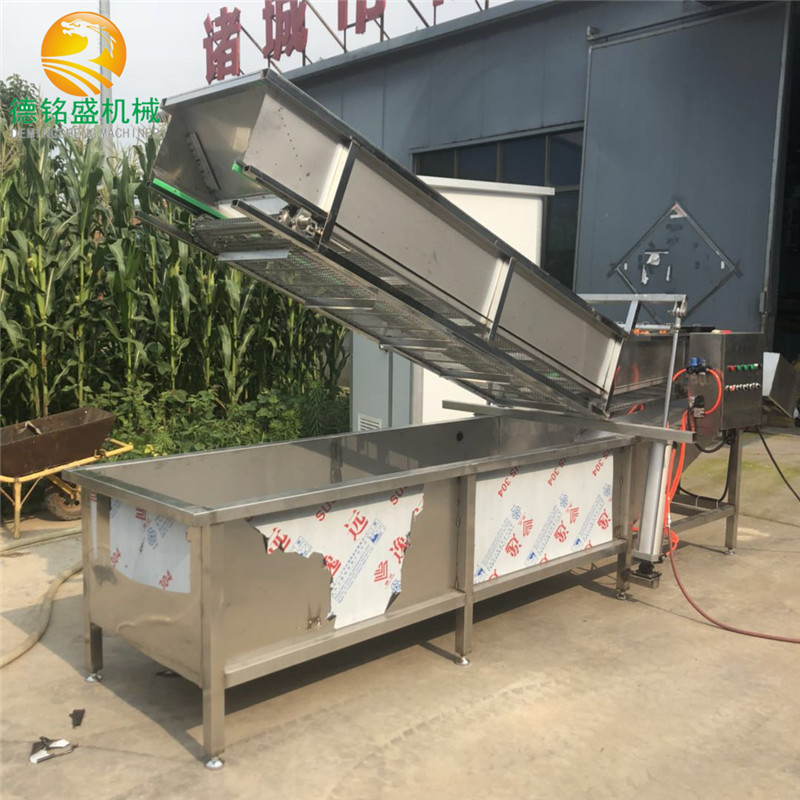 清洗包菜叶设备厂家 多功能辣椒气泡清洗机 净菜生产线