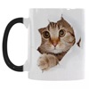 Cute ceramics, coffee cup with glass, suitable for import, wholesale