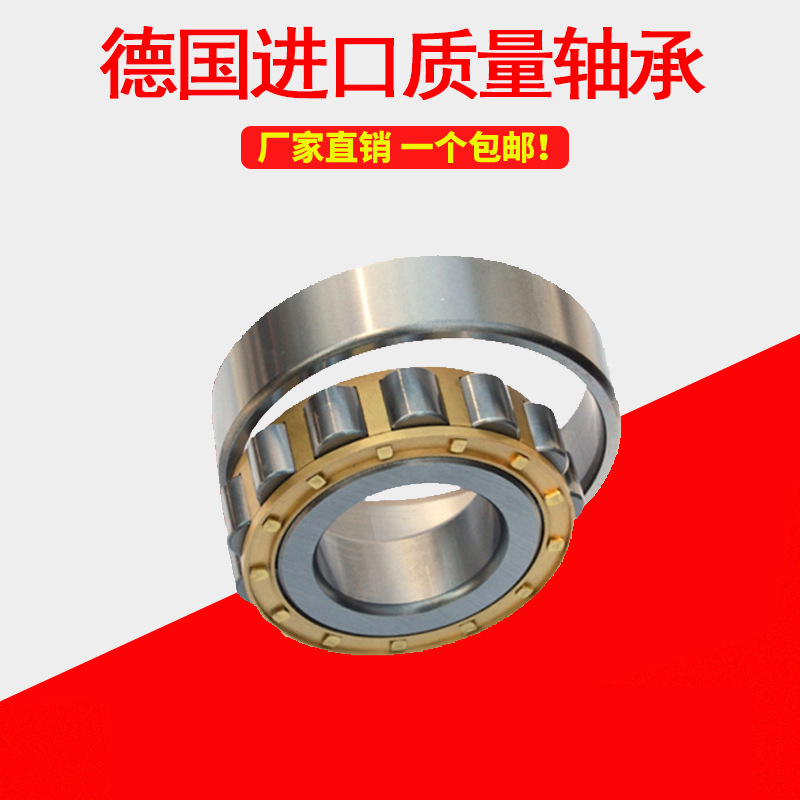 德国进口圆柱滚子轴承N226 228 230 232 234 236 238 240 244EM