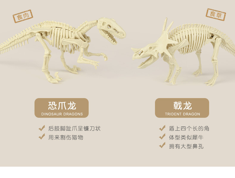 考古恐龙玩具详情上_05-1.jpg