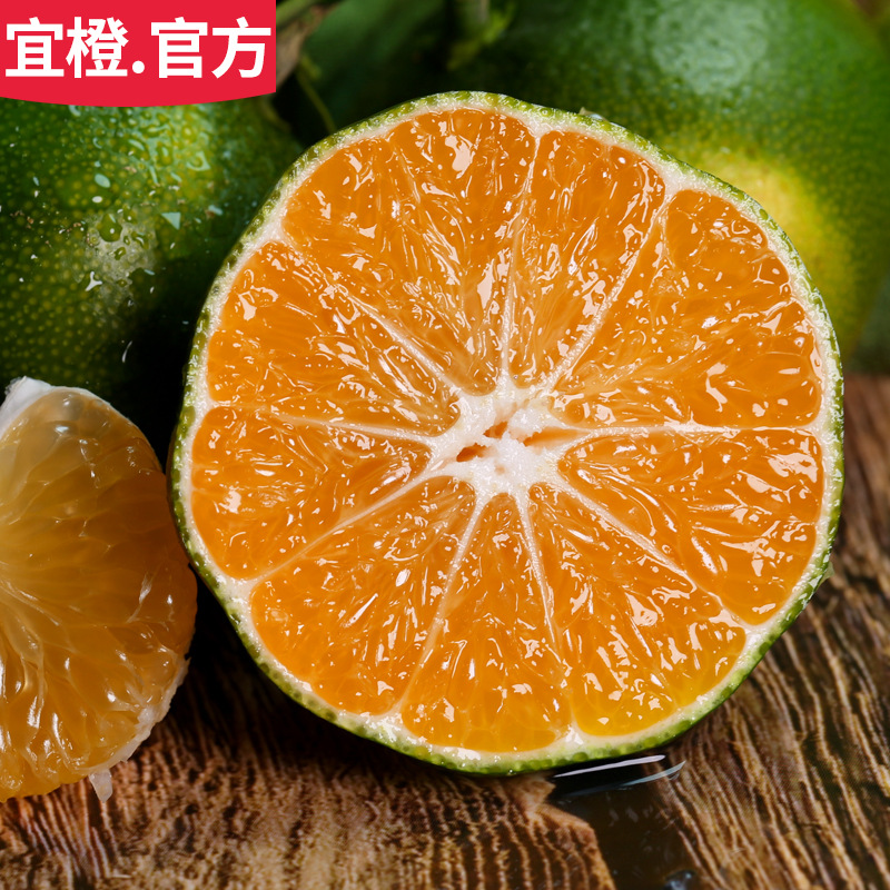 宜桔 湖北蜜桔 酸甜多汁 5斤9斤 现摘新鲜水果小桔子蜜橘子