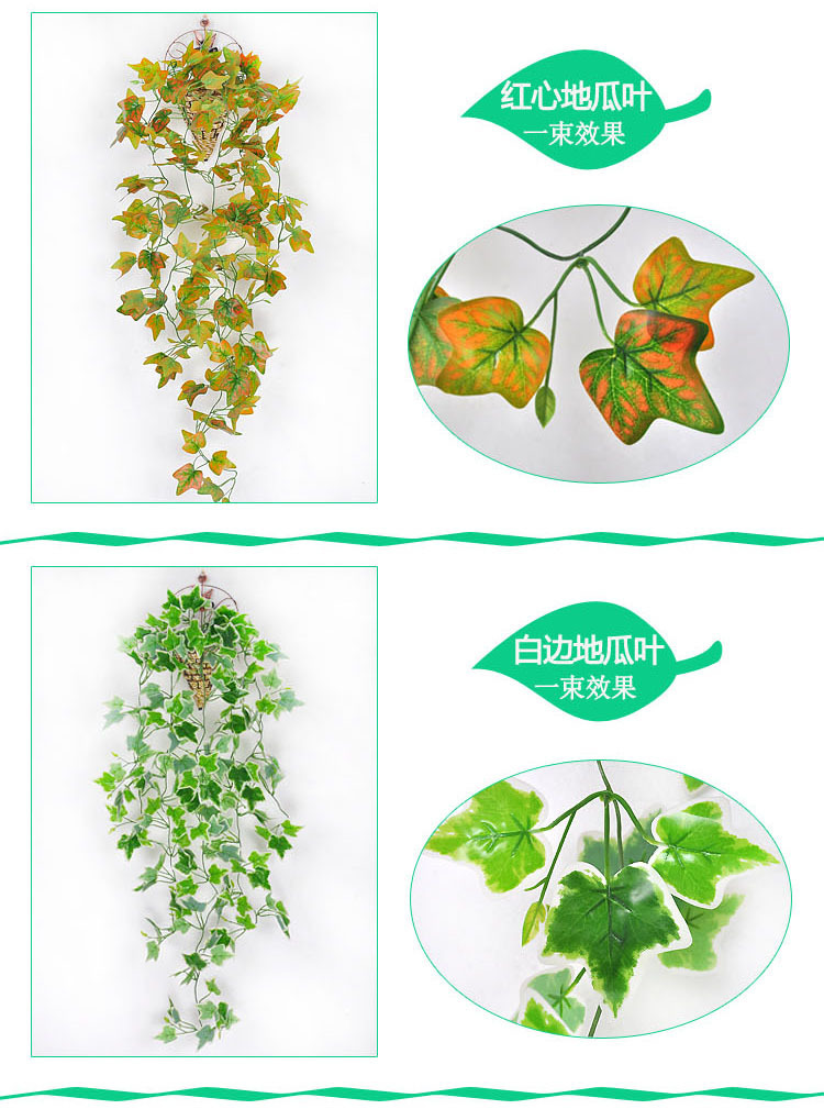 10798572121_580073846