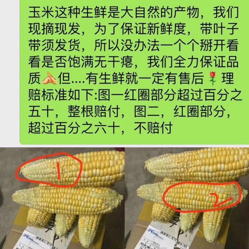 玉米售后图