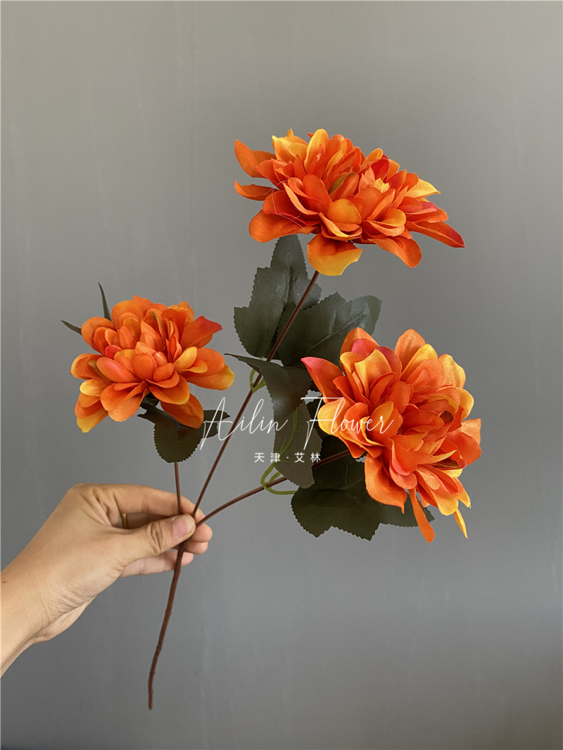 3 autumn colorful flowers