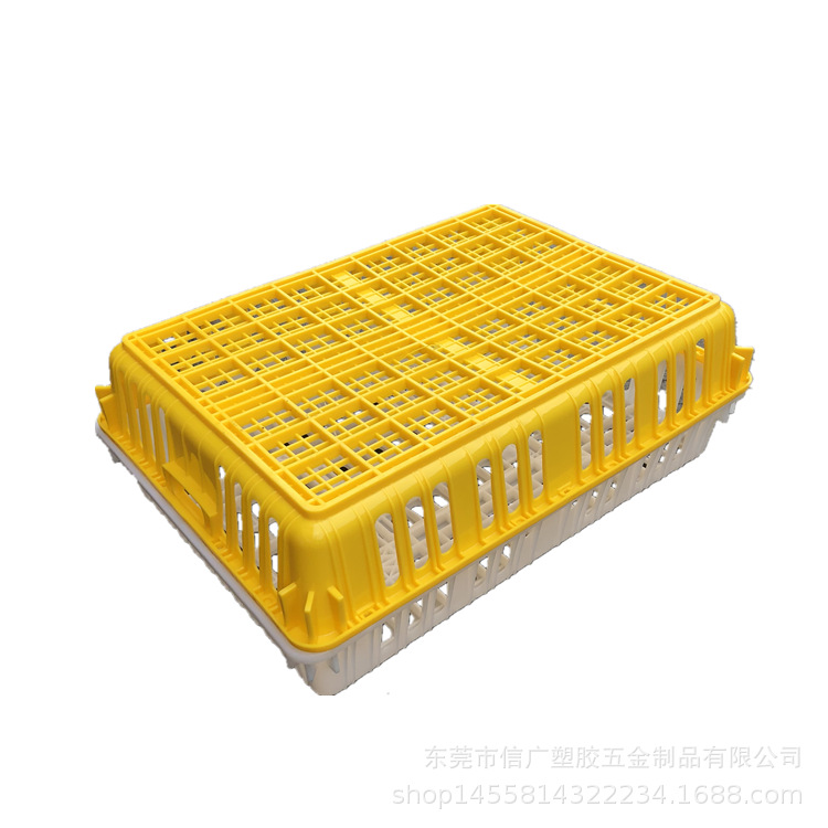 厂家直供湖南 岳阳塑胶鸡笼 家禽养殖好帮手塑料周转笼 信广塑胶