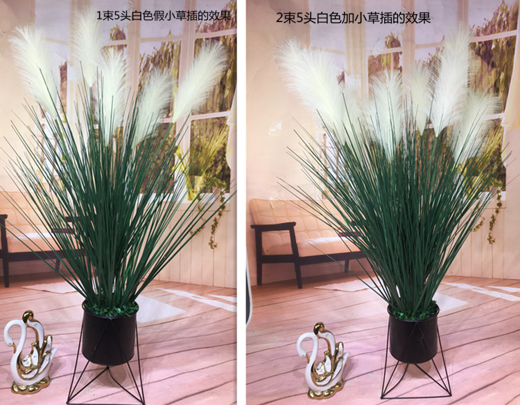 微信图片_2560200322144801_副本