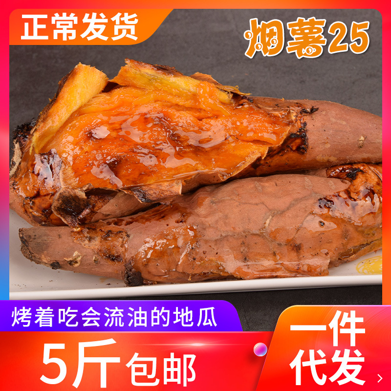 山东烟薯25号农家自种新鲜红薯糖心蜜薯红壤地瓜红心番薯五斤包邮