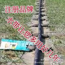 �S�Ҷ���������������������ˮ�����䲼���ӹ�Ȳ��Ŝ϶��䲼ˮ��