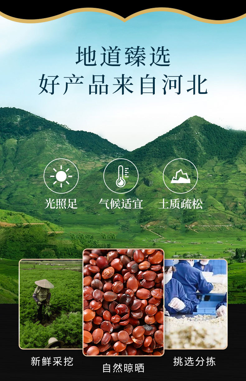 Suan Zao Ren (Ziziphus jujuba var. spinosa) — Fried Spine Date Seed for Calming Tea & Decoction overview