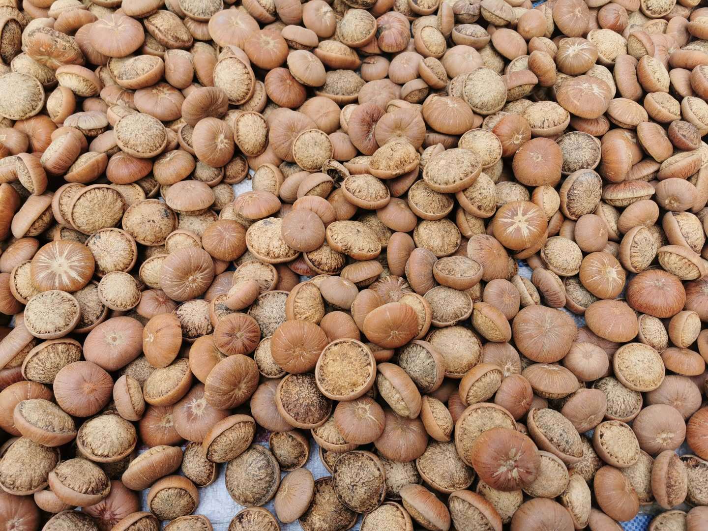 Feng Liu Gu Dried Whole Fruit 500g Traditional Herbal Decoction Ingredient for Cooking and Wine Infusion specifications
