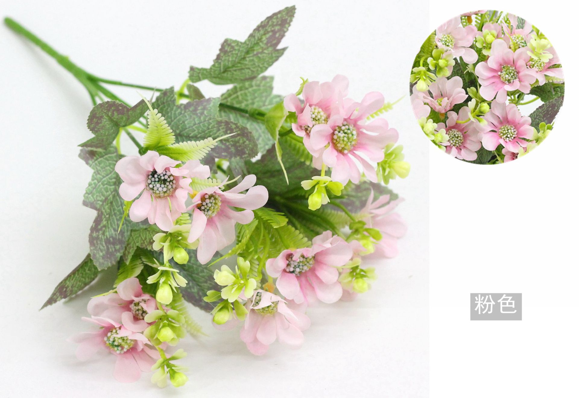 IMG_7626_副本_副本