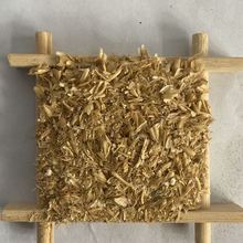 Sҹ ƤԭƤ ƤF؛ăgӭǢՄ