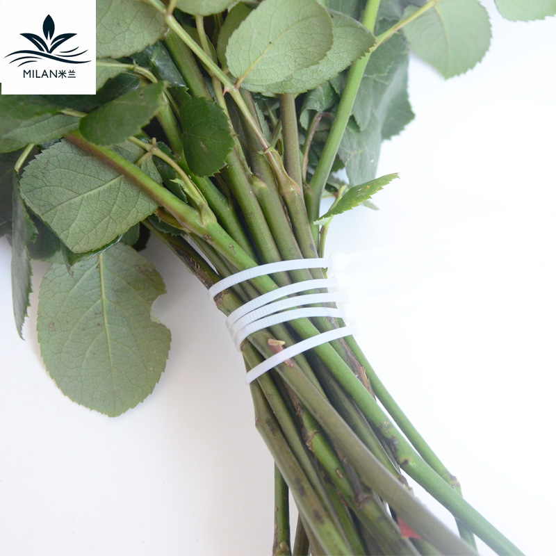 Ramo de la tienda de flores de plástico fijo cinturón de unión de nylon autobloqueante cable cinturón hebilla flor material de embalaje