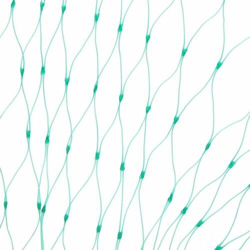 Bird Netting Image 6