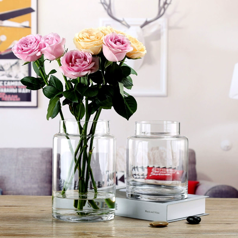 Nordic Creative Прозрачная стеклянная ваза Простые украшения Гостиная Цветочная Организация Настольная забота о воде Цельная Оптовая ваза