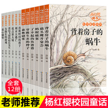 儿童图书现货批发小学生课外书读物校园科学童话故事书杨红樱画本