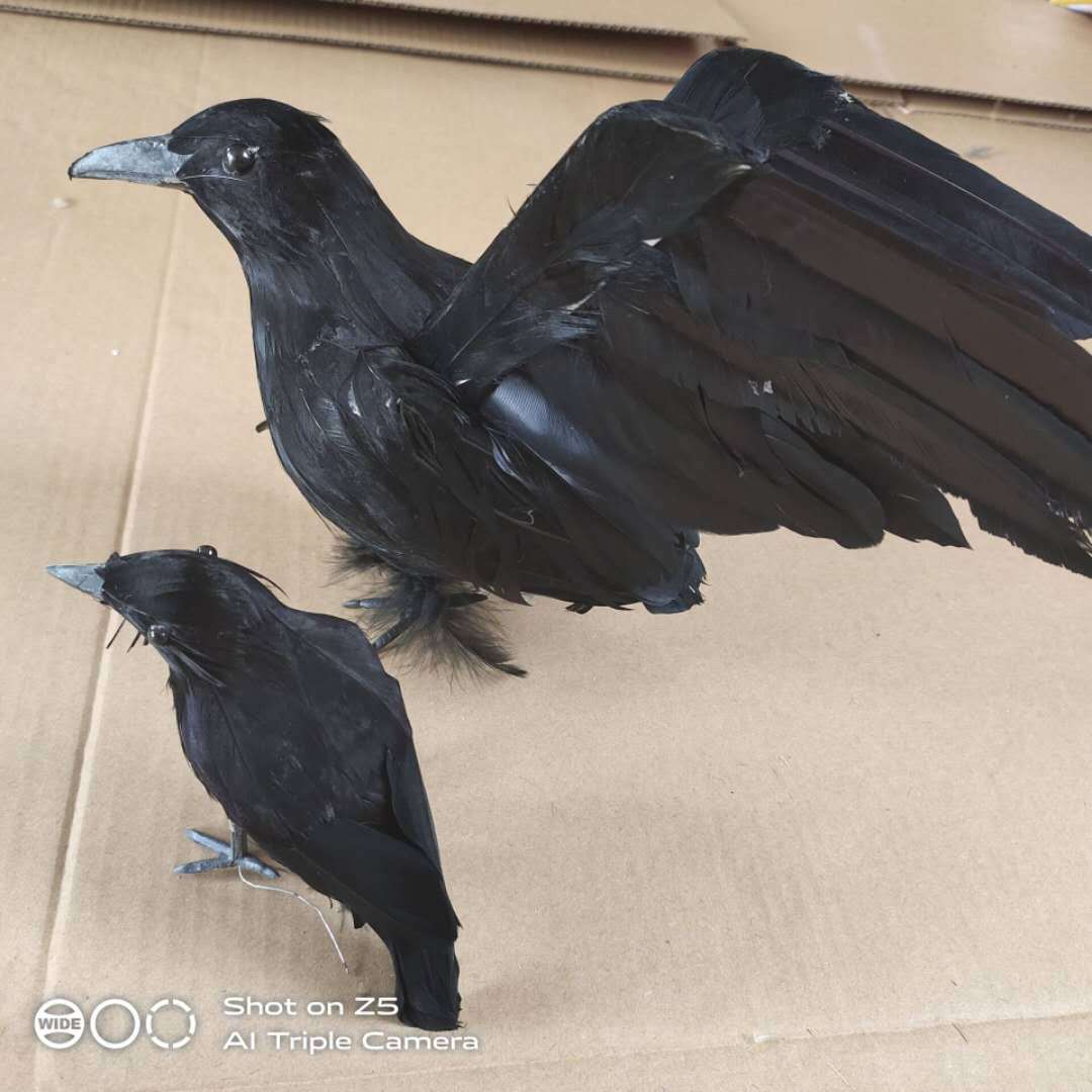 bf1e6fa85595358578e85e2cd05ec6