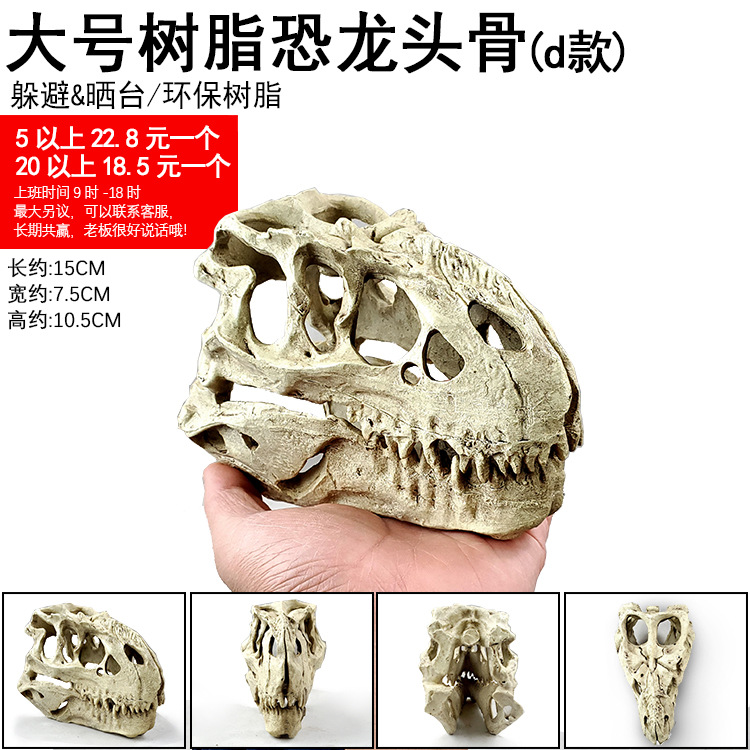 大号树脂恐龙头骨躲避&晒台