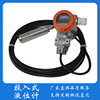 Manufactor Direct selling Investment Level Transmitter measure Corrosive liquid quality ensure