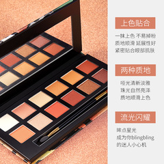 Image Beauty Twelve Colors Tiger Eye Shadow Palette with Brilliant and Luminous, Three-Dimensional Jungle Animal Eye Shadow for Wholesale
