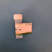 现货供应科研试剂 Sigma分T9003胰蛋白酶抑制剂 CAS9035-81-8