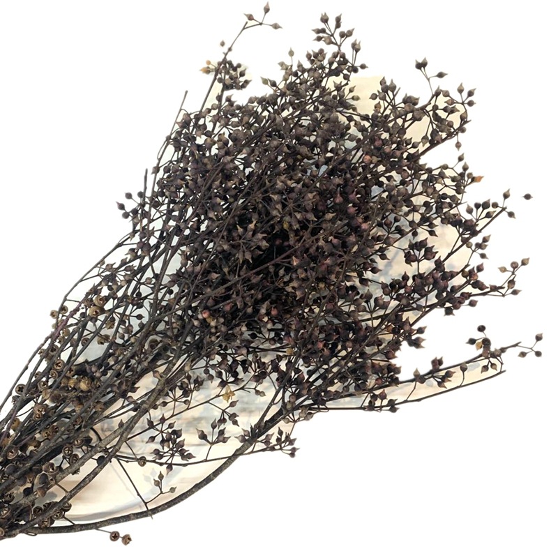 微信图片_20200408160228