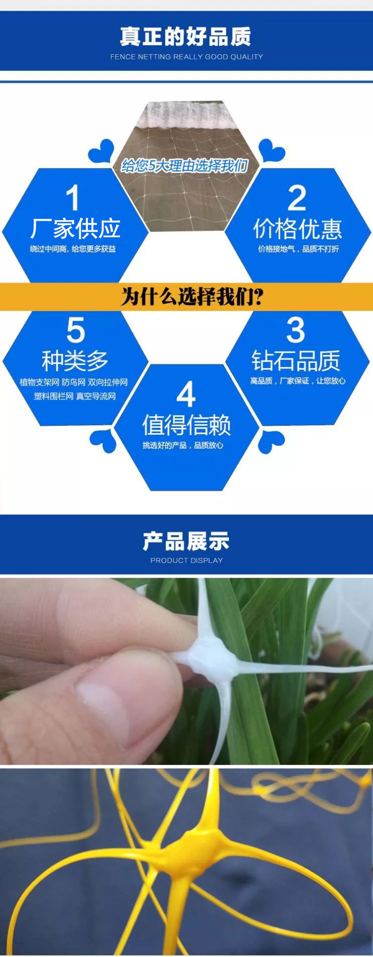 植物支架_04.jpg