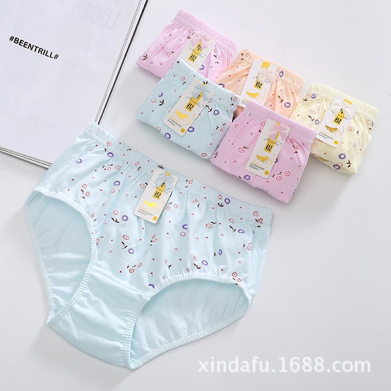 8513205656_234052529